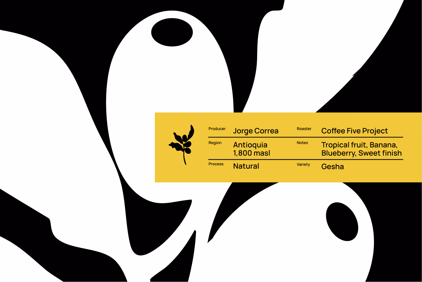 Coffee Five Project — detail 6