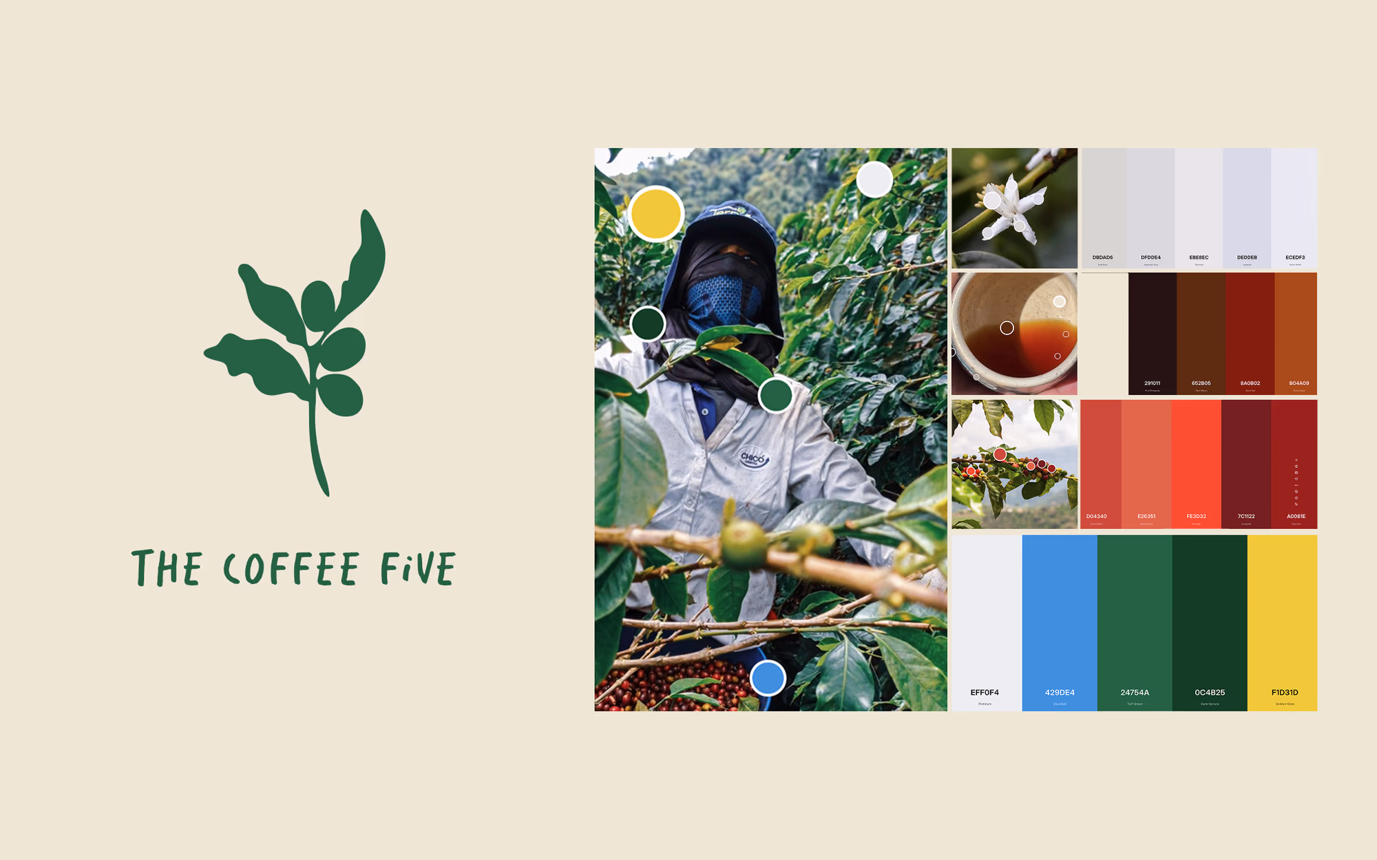 Coffee Five Project — Juan Medina — Coffee Five Project