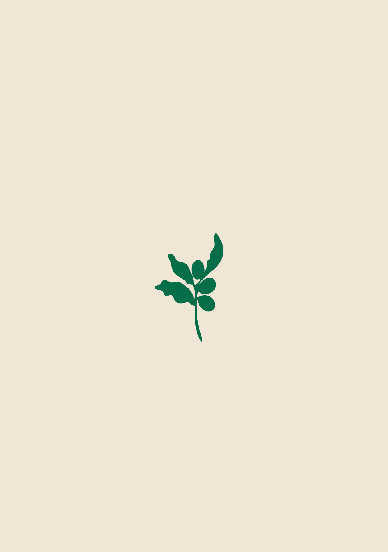 Coffee Five Project — detail 4